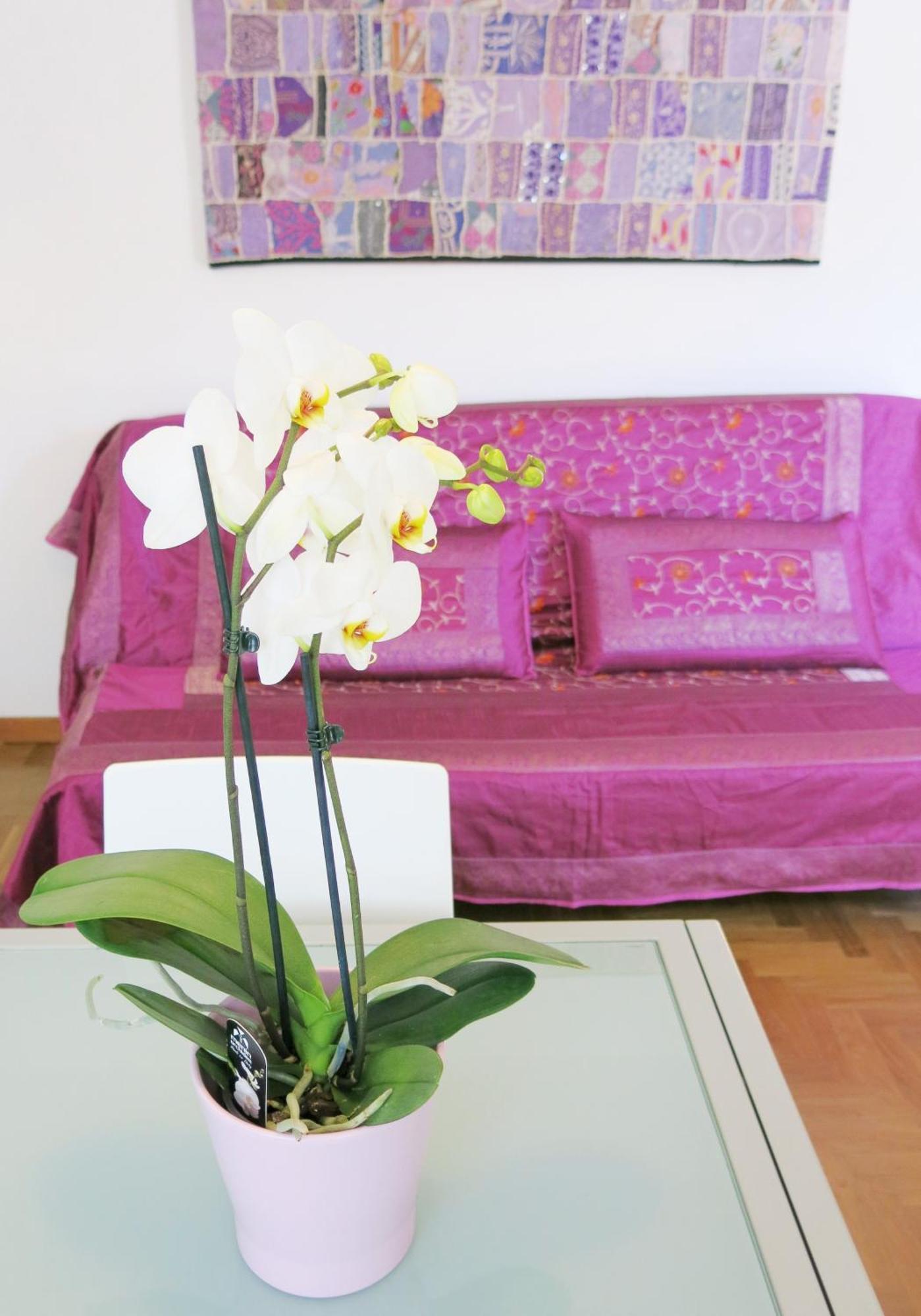 Residence Amarein Каорле Экстерьер фото